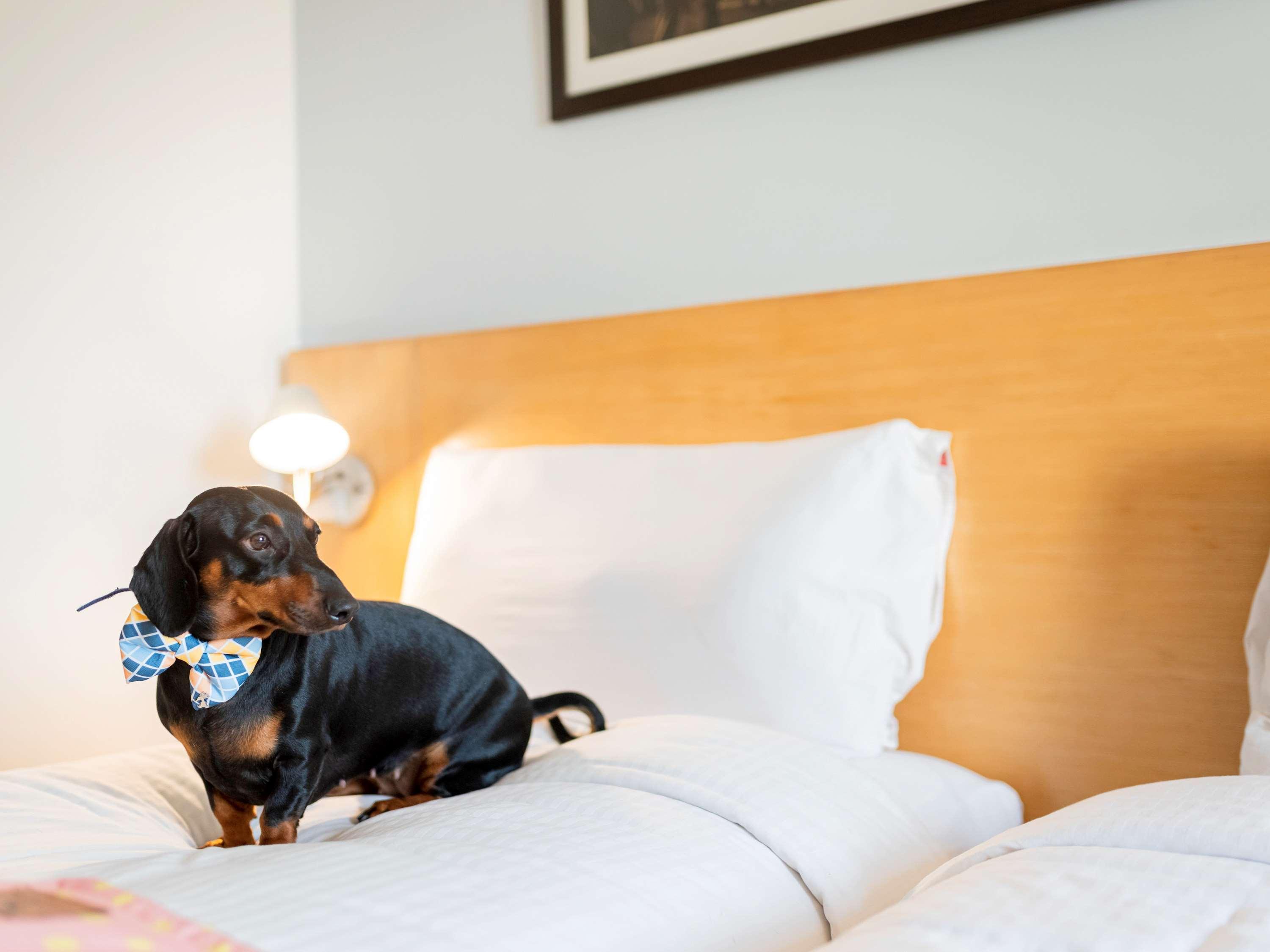 Ibis Gurgaon Golf Course Road - An Accor Brand Ξενοδοχείο Εξωτερικό φωτογραφία